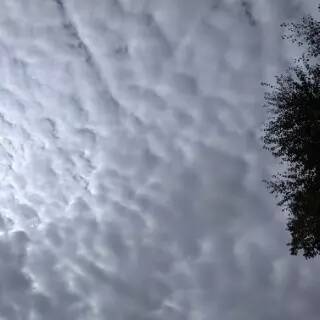 Altocumulus clouds