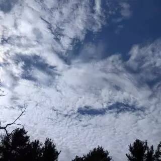 Cirrocumulus clouds