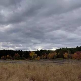 Stratocumulus clouds